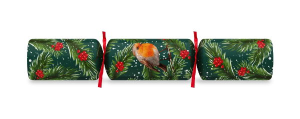 11" Robin Red/Green Mixed Box Uncoated Cracker Xmas Quiz x 100