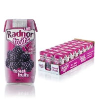 Radnor Fruits Forest Fruits Juice Cartons 24x200ml