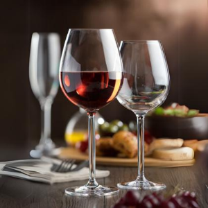 Polycarbonate Wine Glasses