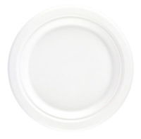 Bagasse Compostable Plate 7" x 1000