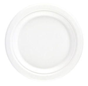 Bagasse Compostable Plate 7" x 1000