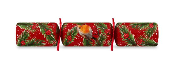 11" Robin Red/Green Mixed Box Uncoated Cracker Xmas Quiz x 100