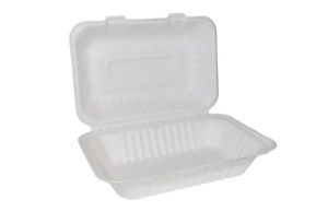 Bagasse