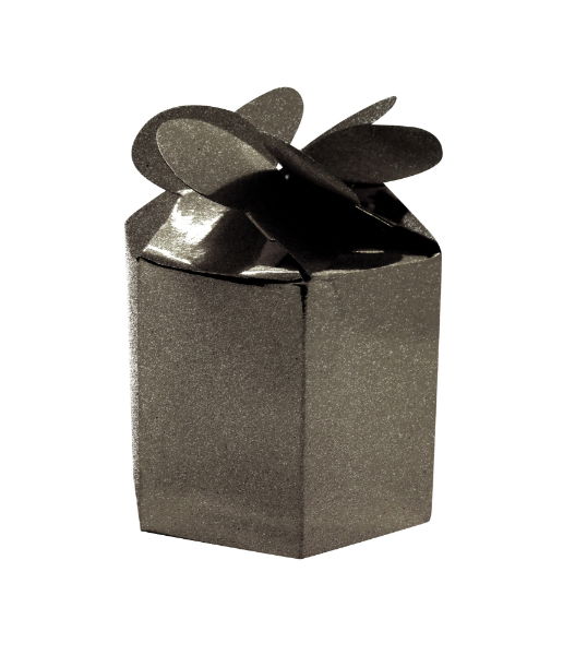 Sparkling Dust Gun Metal Grey Gift Boxes x 24
