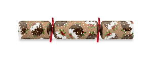 10" Christmas Puddings Kraft Mixed Box Cracker Xmas Quiz x 100