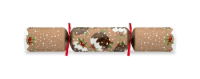 10" Christmas Puddings Kraft Mixed Box Cracker Xmas Quiz x 100