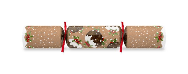 10" Christmas Puddings Kraft Mixed Box Cracker Xmas Quiz x 100