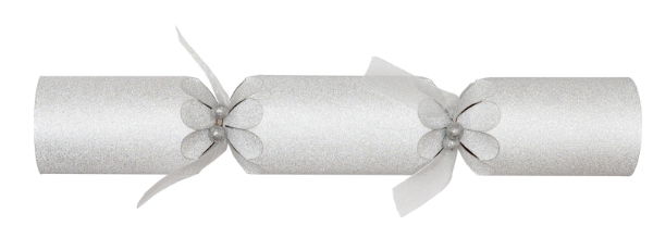 14" Sparkling Dust Silver Cracker x 25