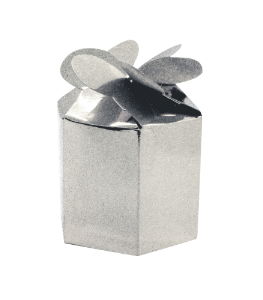 Sparkling Dust Silver Gift Boxes x 24
