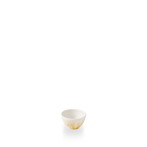 TDGDBSD21.png