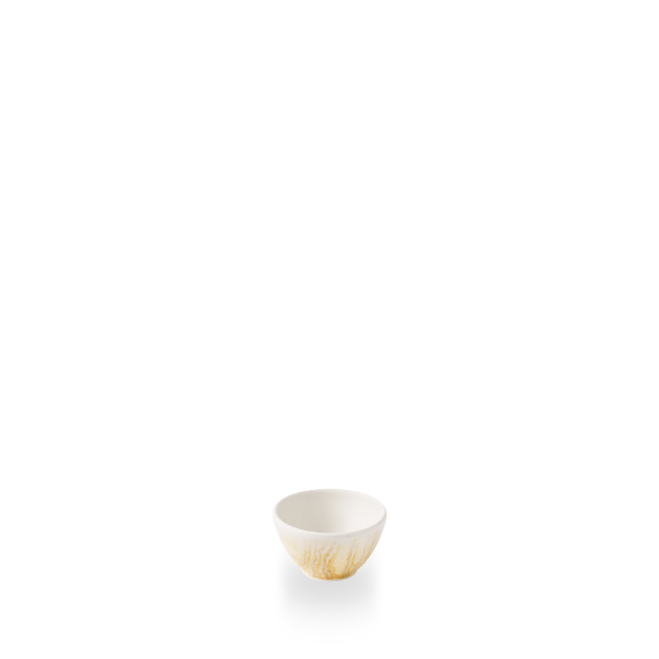TDGDBSD21.png